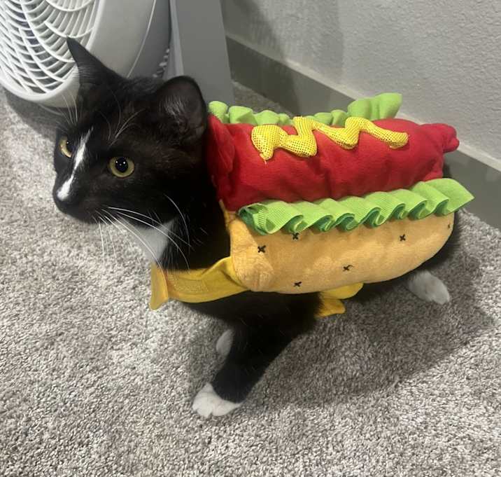 Photo of Tairn