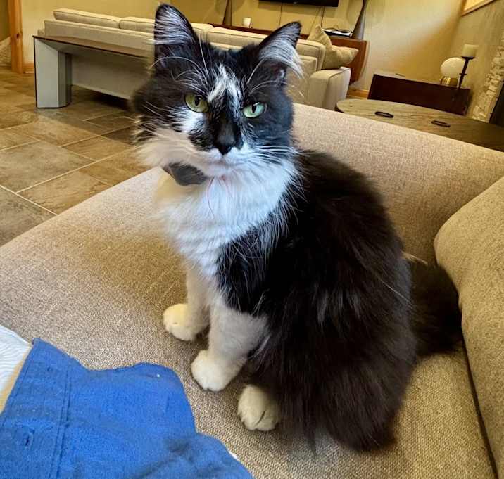Photo of Gilda Catner