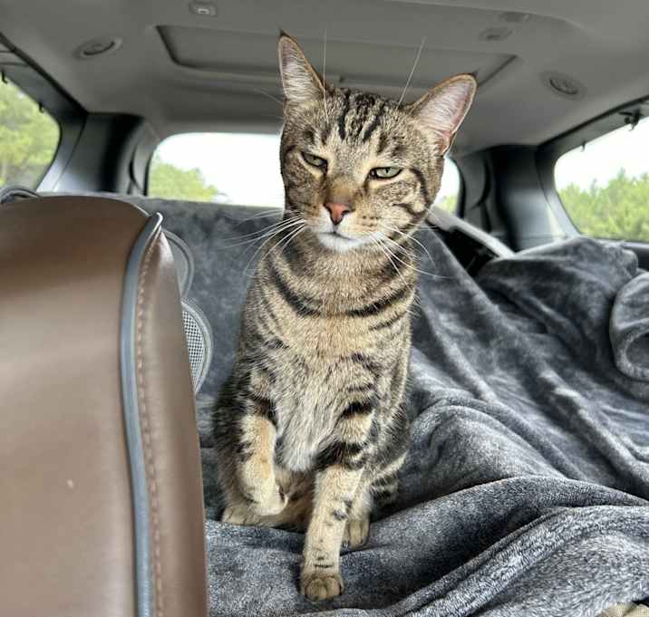 Photo of Max