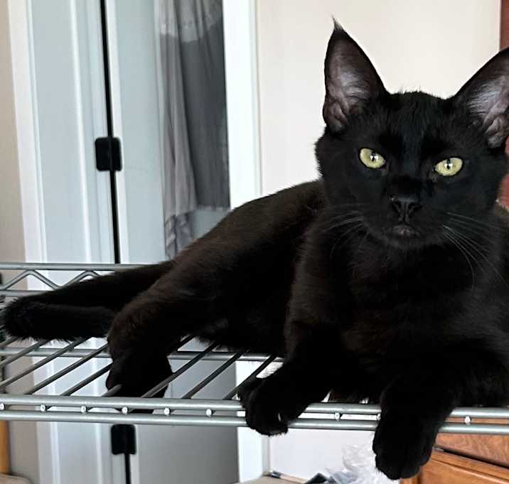 Photo of Sweet James