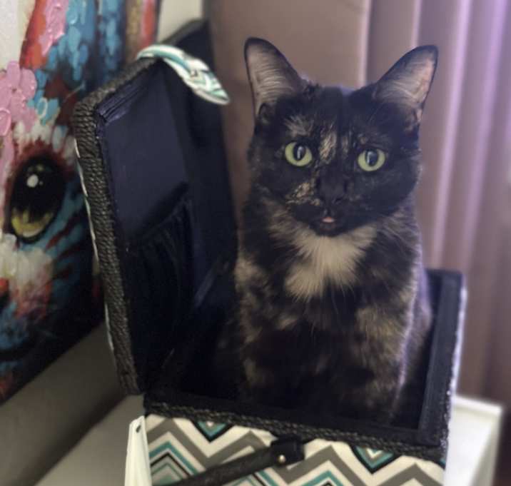 Photo of Kiri
