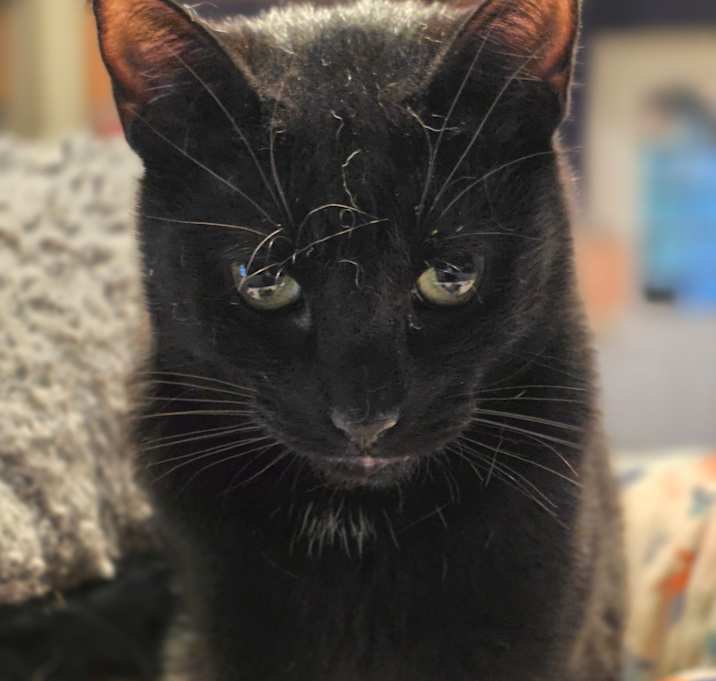 Photo of Easton