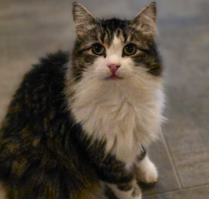 Photo of Doug
