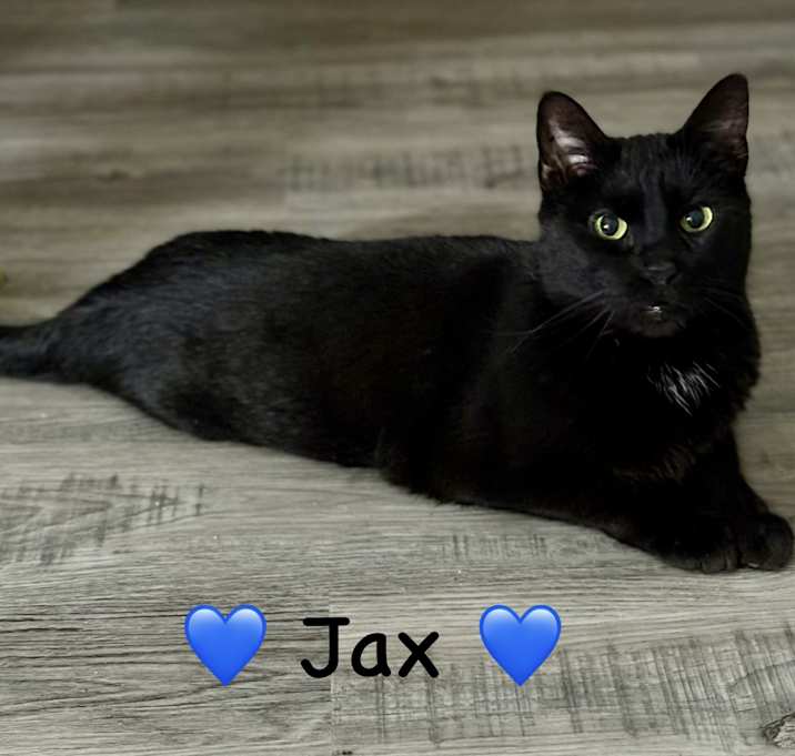 Photo of Jax