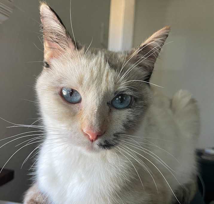 Photo of Baby Girl