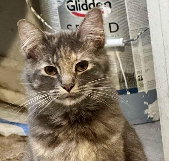 Photo of Babee