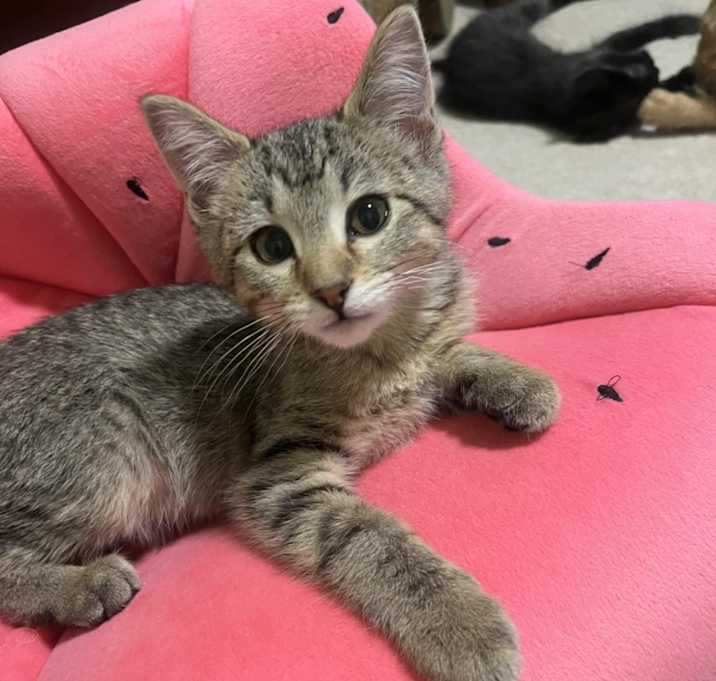 Photo of Burt