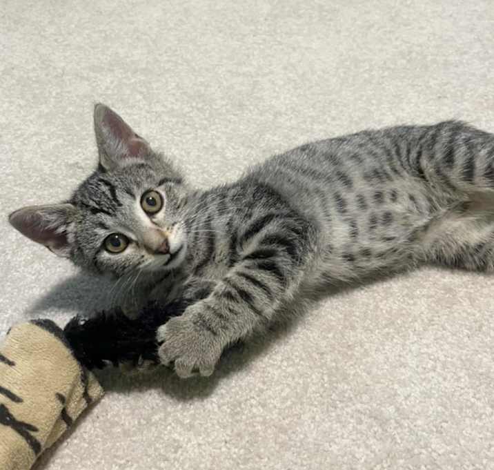 Photo of Sally