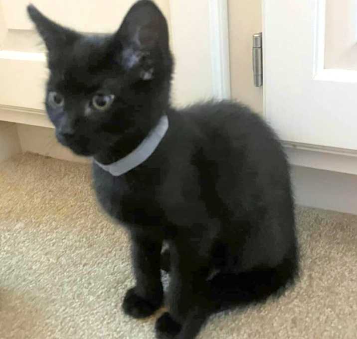 Photo of Penny