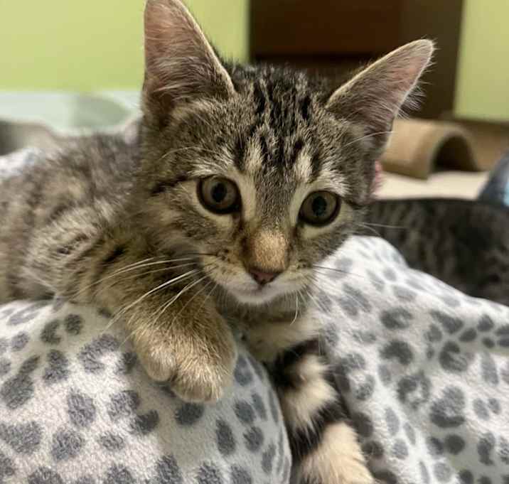 Photo of Sugar