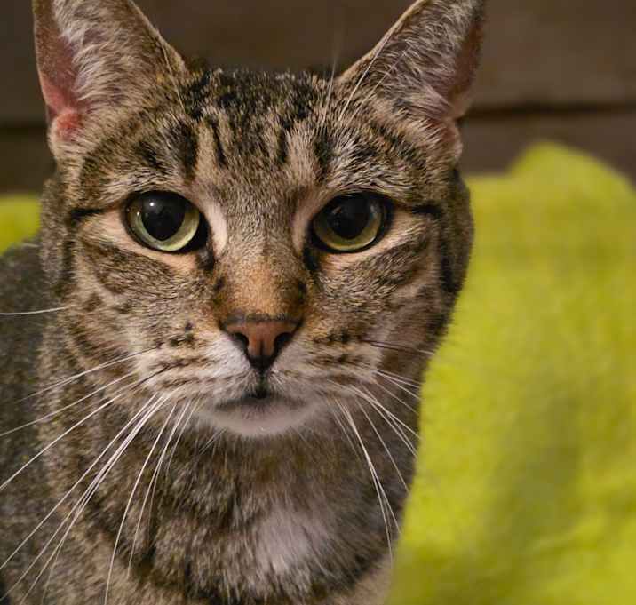 Photo of Greta