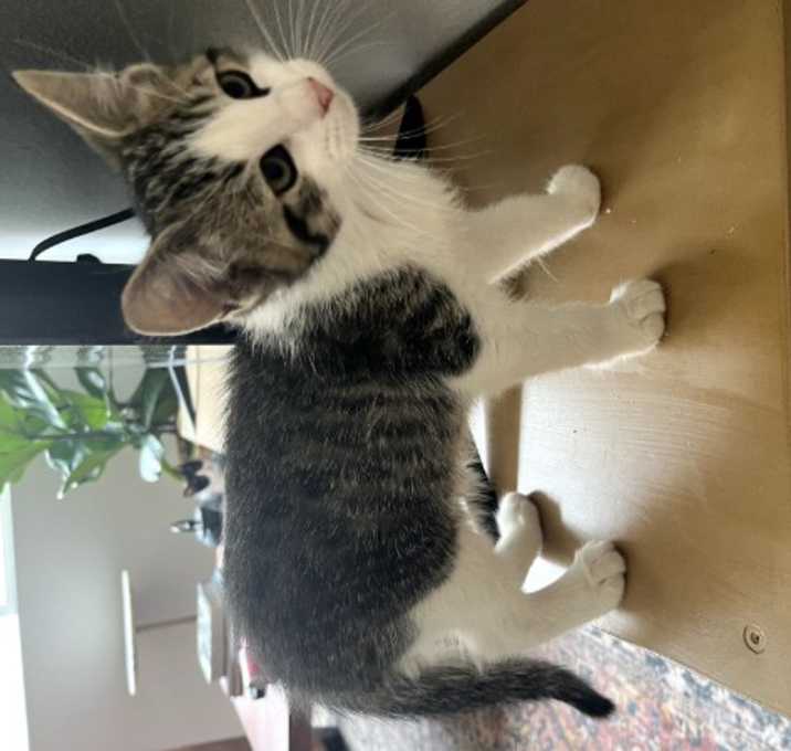 Photo of TOO ADORABLE FOR WORDS!