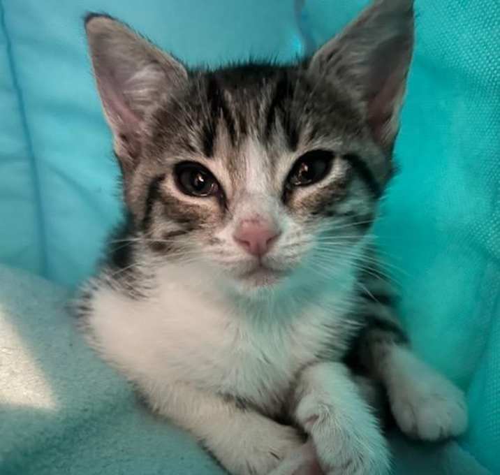 Photo of Aurra