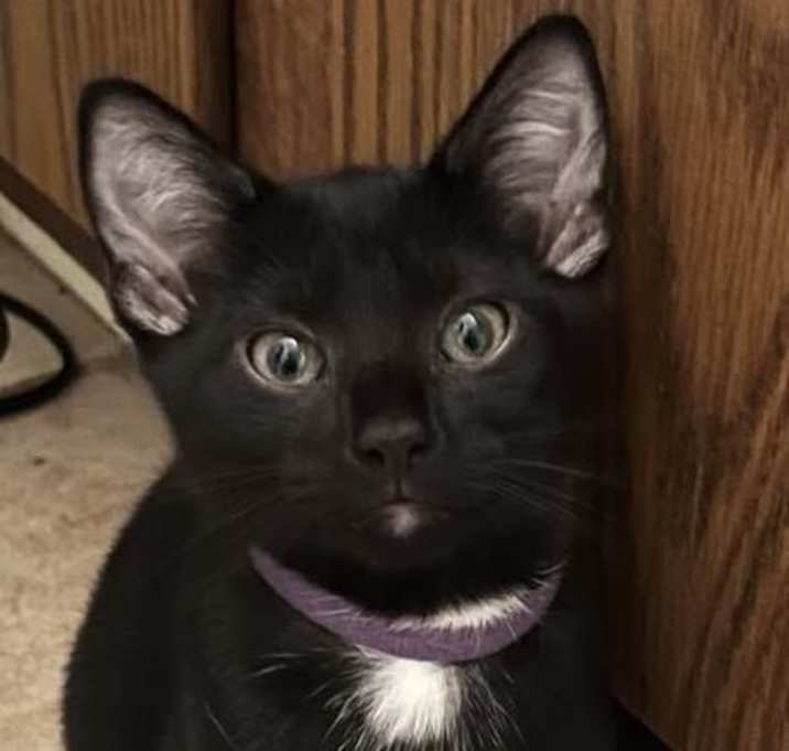 Photo of Jewel