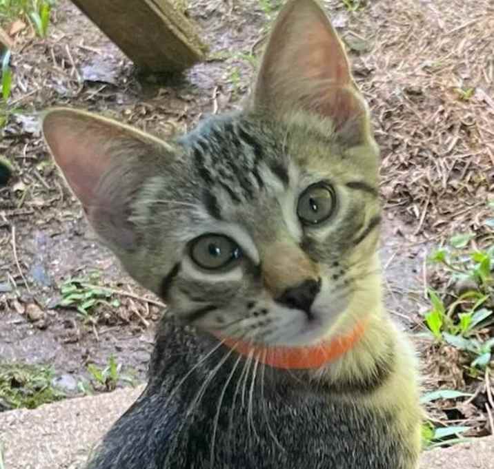 Photo of Kevin