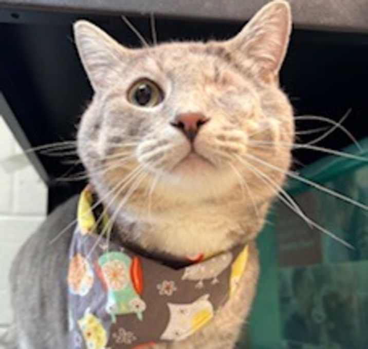 Photo of Abner