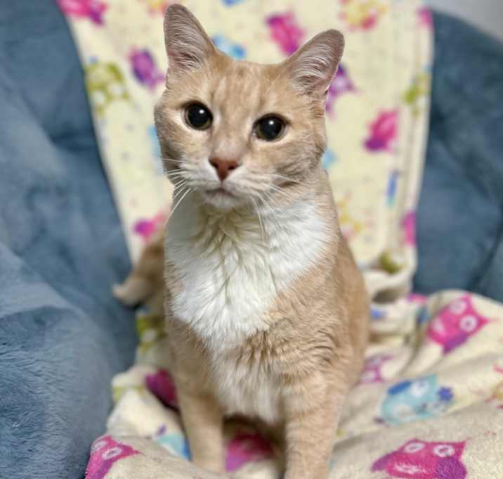Photo of Rudy