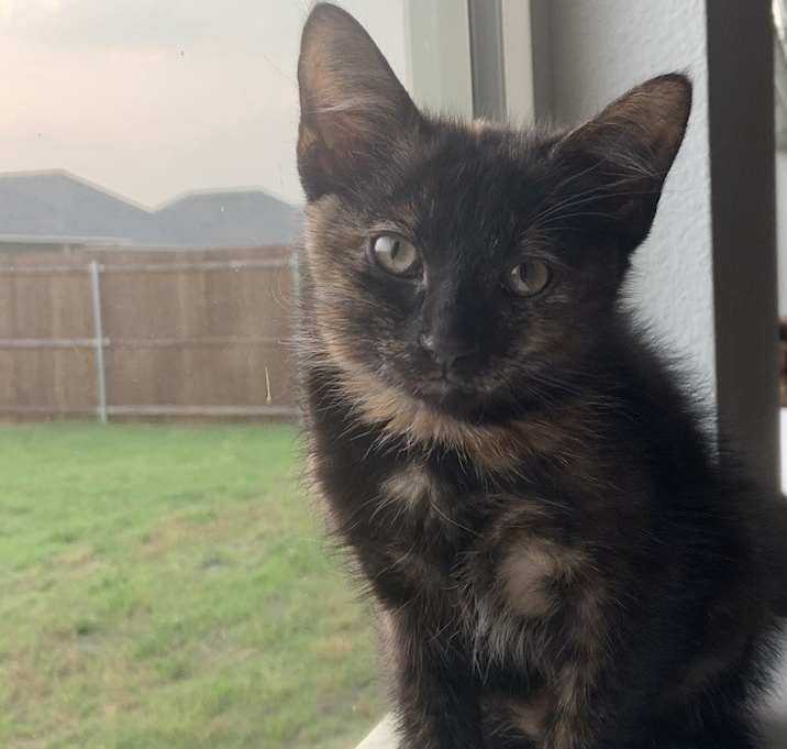 Photo of Alice