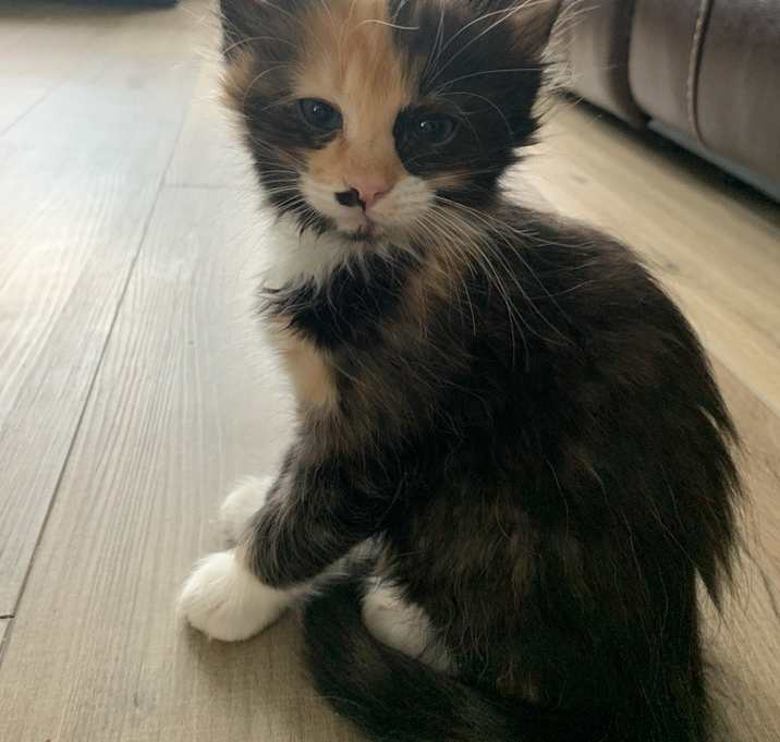 Photo of Esme