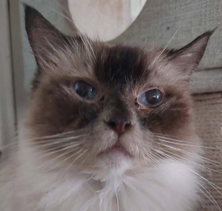 Photo of Margot