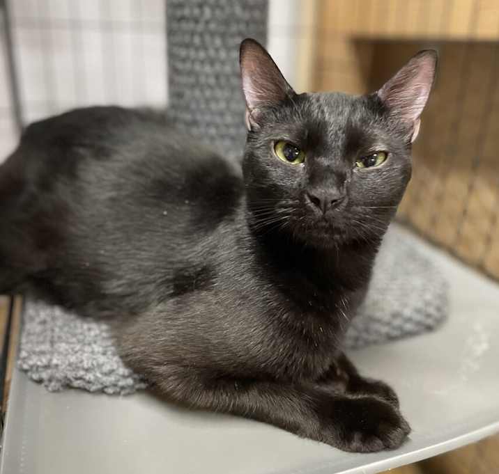 Photo of Tia