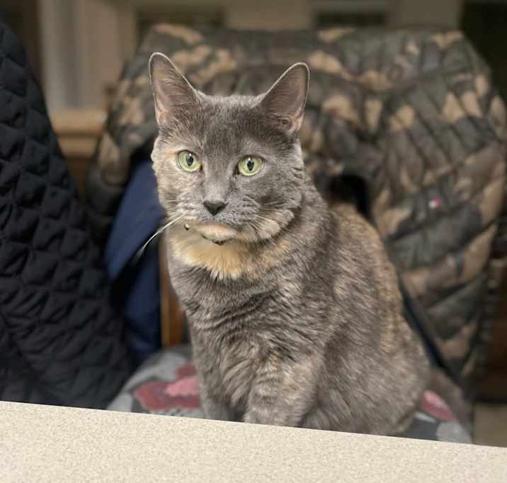 Photo of Betty