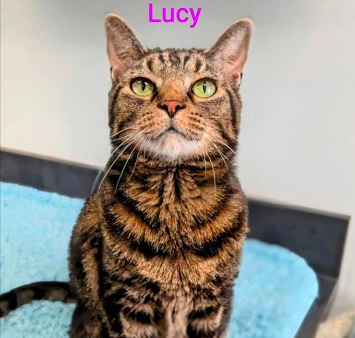 Photo of Lucy