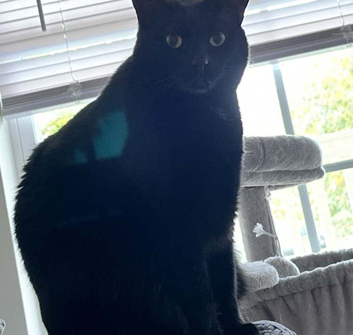 Photo of Ted