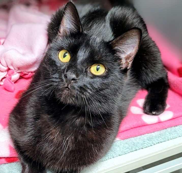 Photo of Penelope