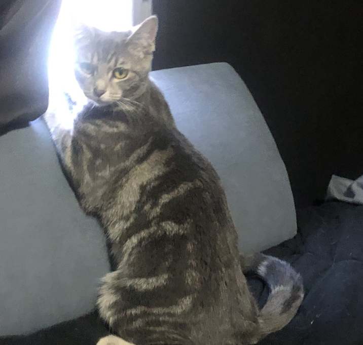 Photo of Baby