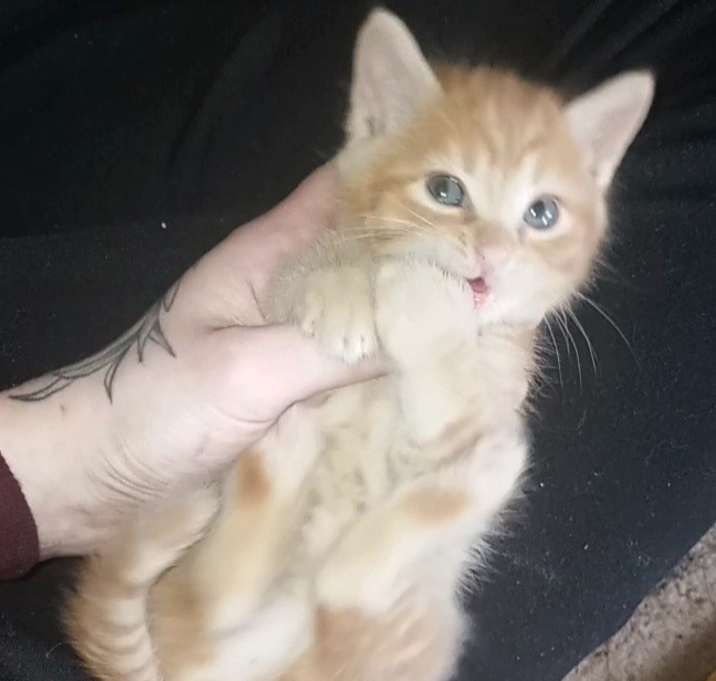 Photo of Penelope