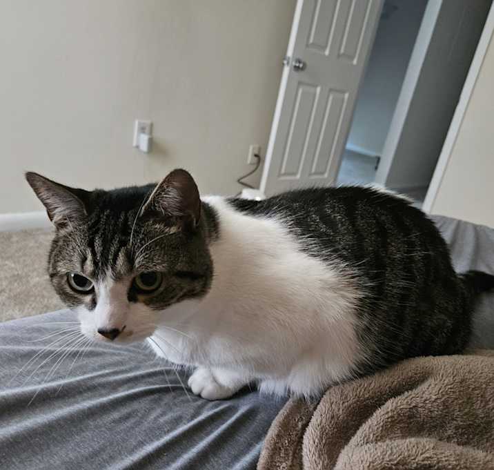 Photo of Artemis