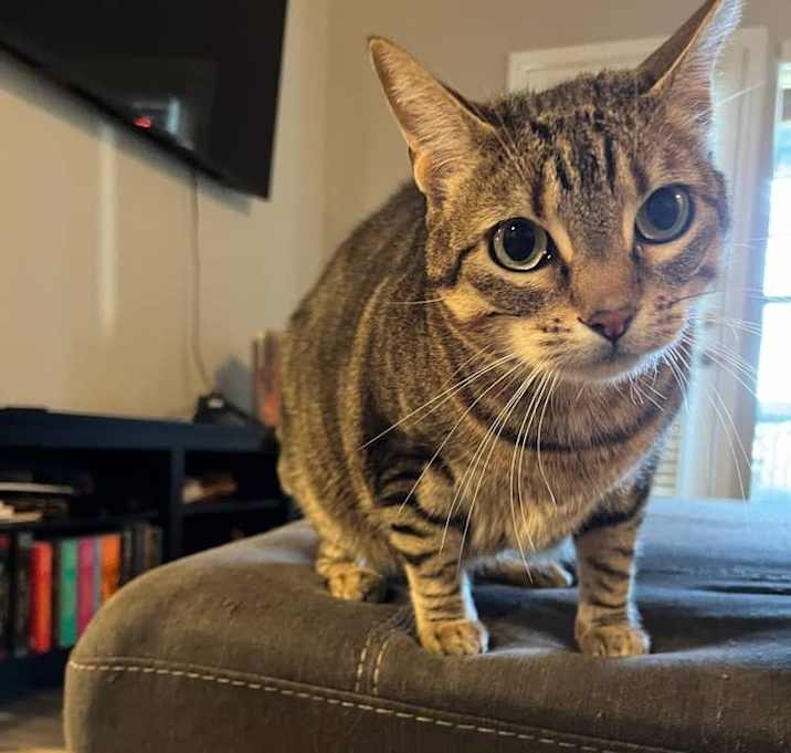 Photo of Skye
