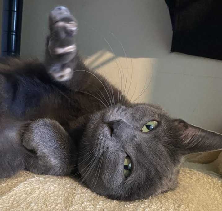 Photo of Gia