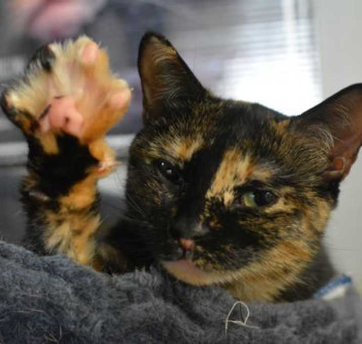 Photo of Hilda