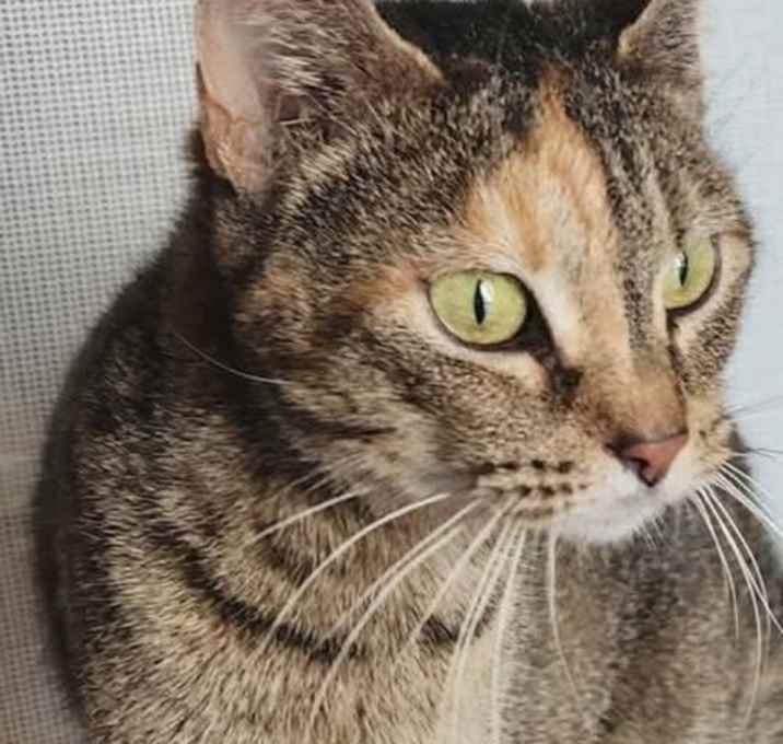 Photo of Moka