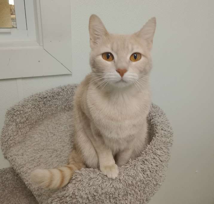 Photo of Cass