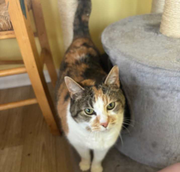Photo of Blanche