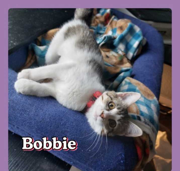Photo of BOBBiE