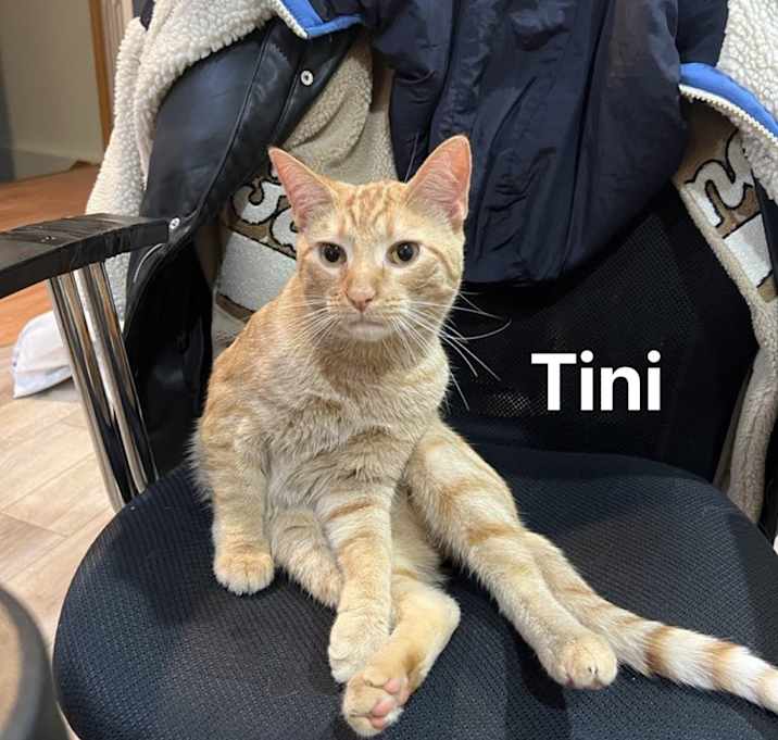 Photo of Tini