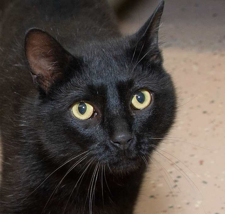Photo of Benny