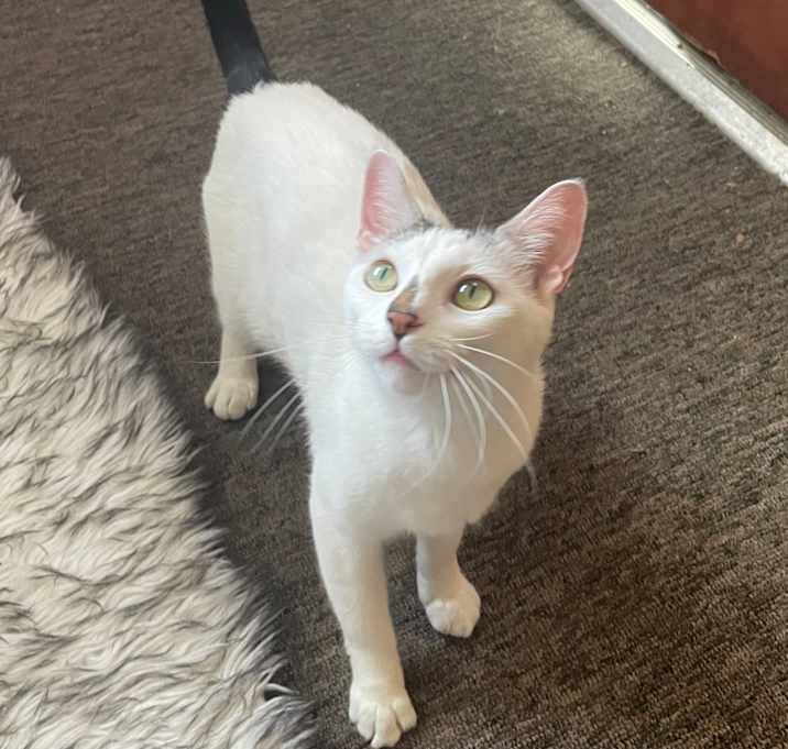 Photo of Gia