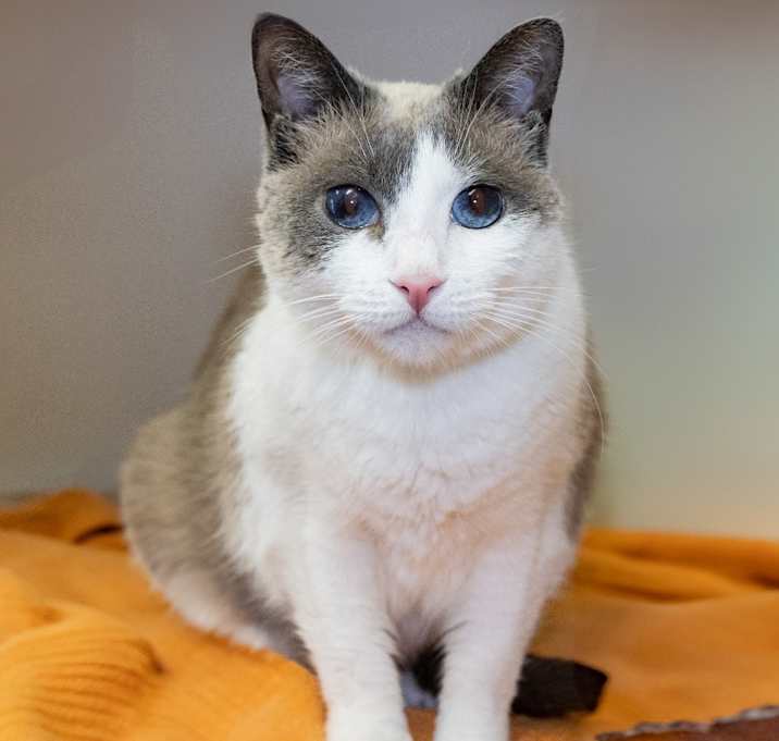 Photo of Princess