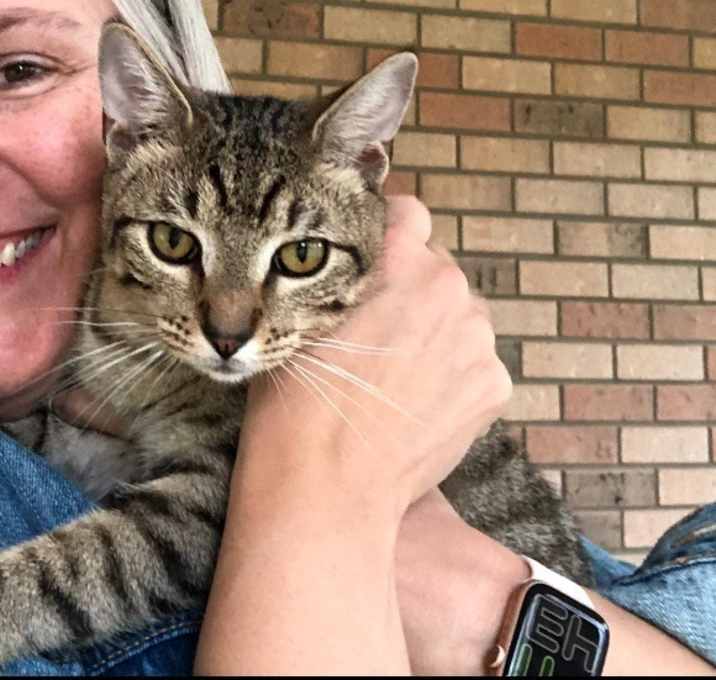 Photo of Whiskers