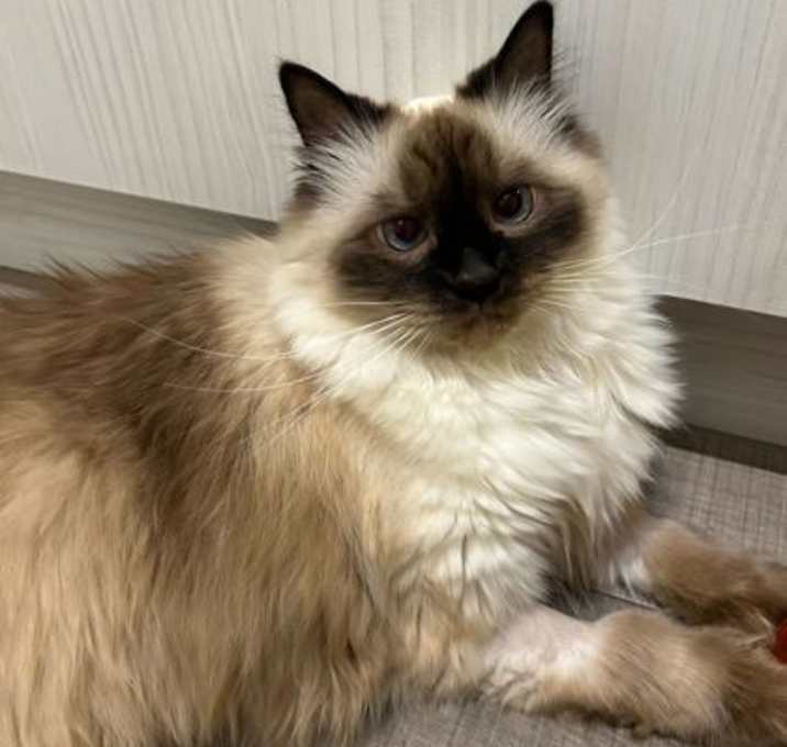 Photo of Peety