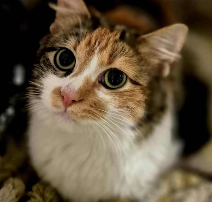 Photo of Brightlyn