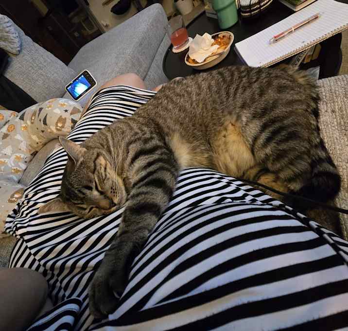 Photo of Leo