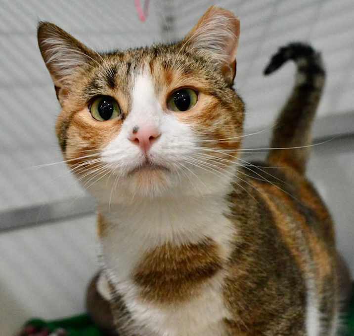 Photo of Tussy