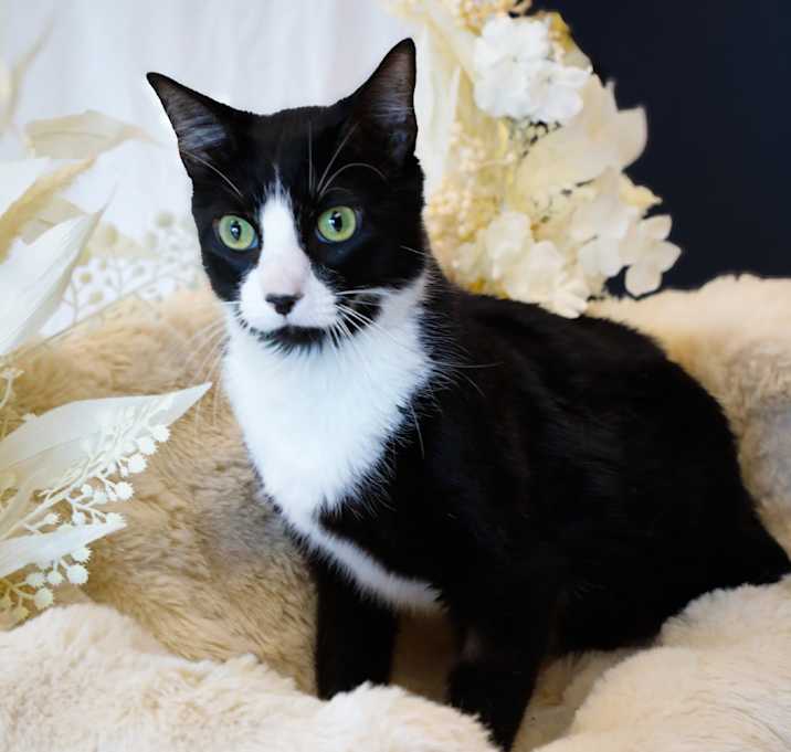 Photo of Jack