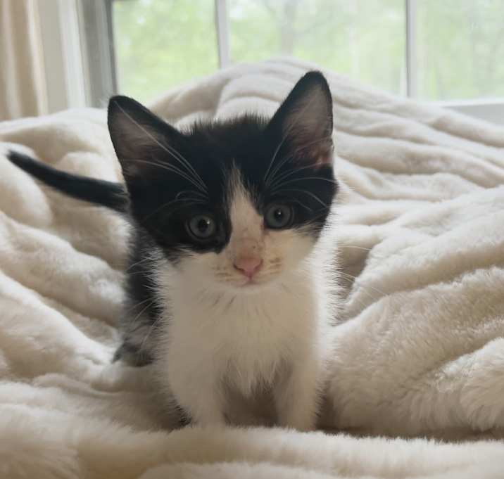 Photo of Roscoe